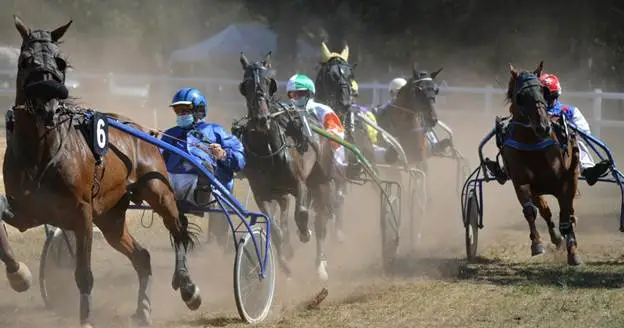 Why horse riding is a sport