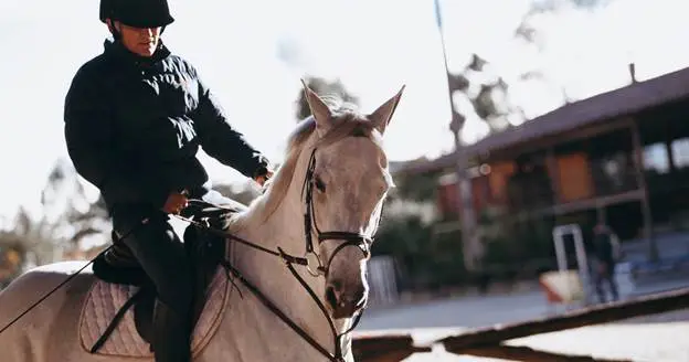 Why horse riding is a sport
