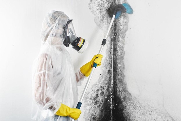 Can mold remediation be capitalized