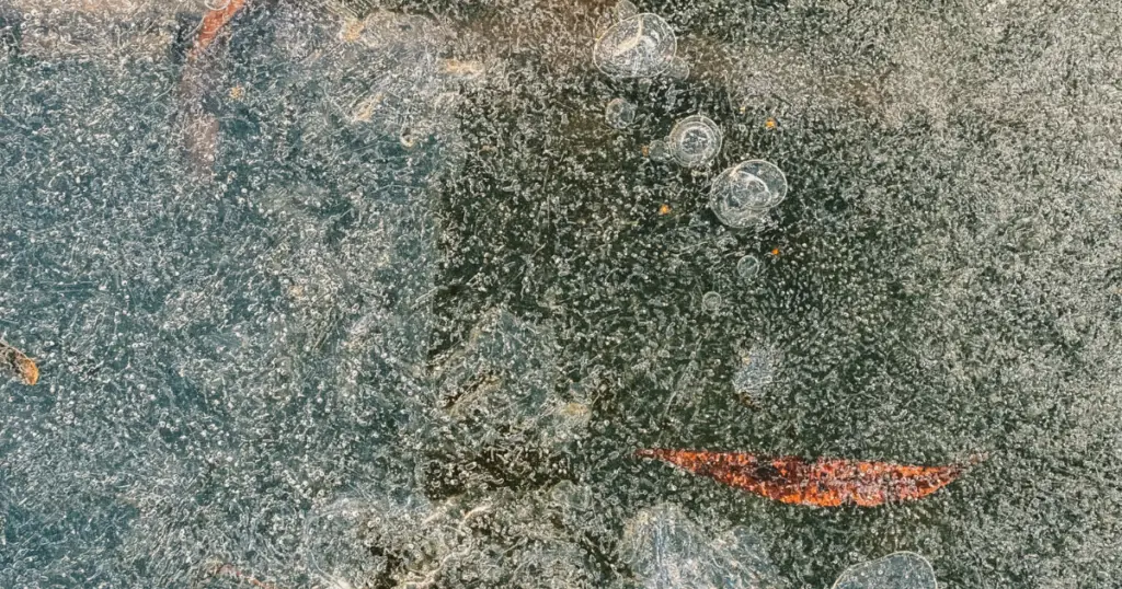how many mold spores are dangerous