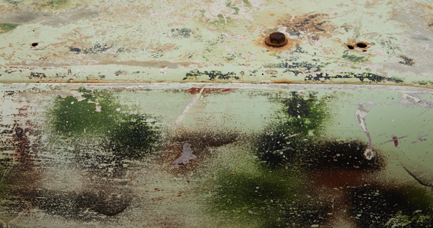 how many mold spores are dangerous