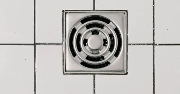 How often should drains be professionally cleaned