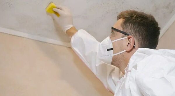 Mould Removal