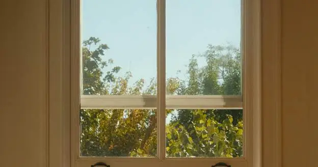 which replacement window is the best