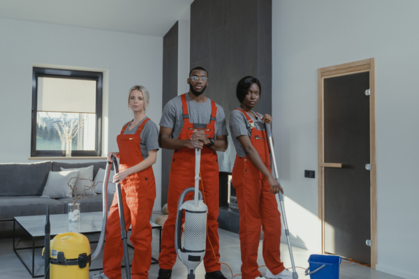 what is professional upholstery cleaning