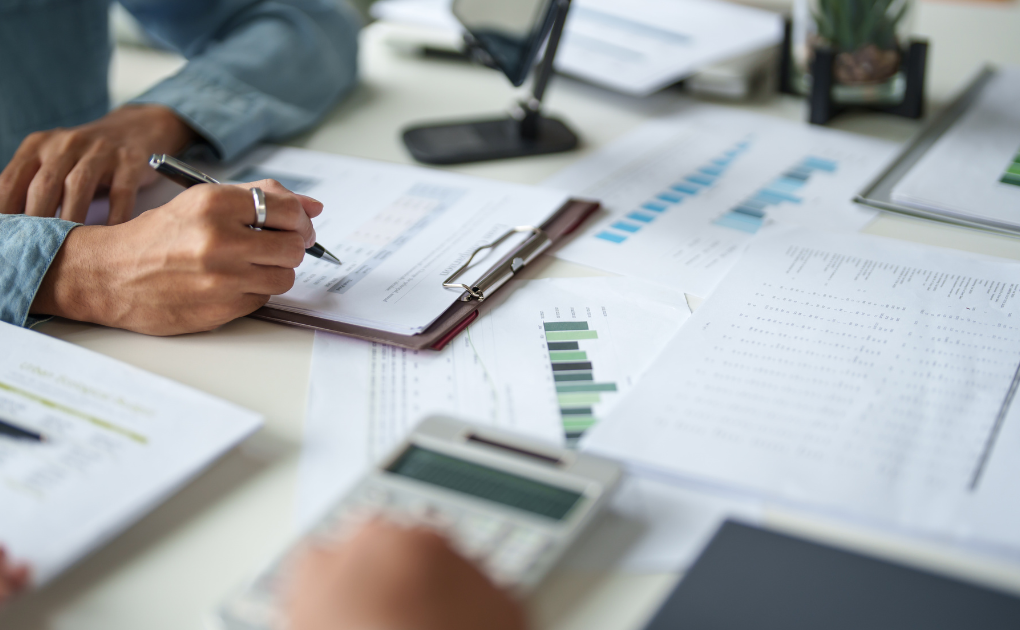 What is translation services in library science
