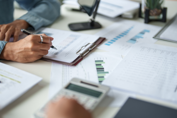 What is translation services in library science