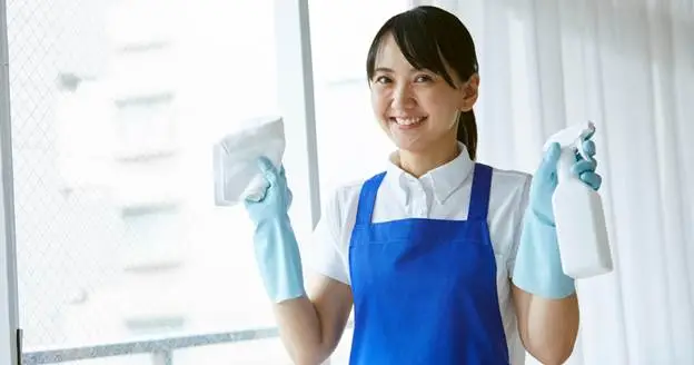 what is professional upholstery cleaning